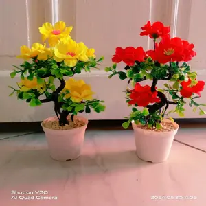 Semanggi bunga mini vas plastik tinggi 23cm lengkap vas bebatuan Pot