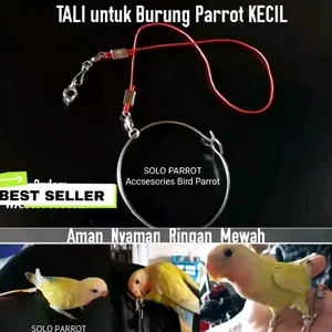 Tali buat Burung Kecil Parkit Perkici Lovebird Falk Beo Perkutut Jalak