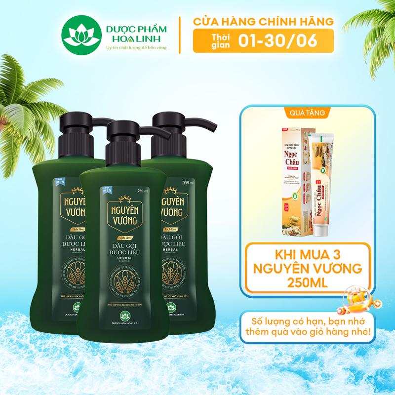 Combo 3 chai dầu gội dược liệu Nguyên Vương lịch lãm dành cho nam chai 250ml - Dành cho tóc nam giới khô xơ, hư tổn