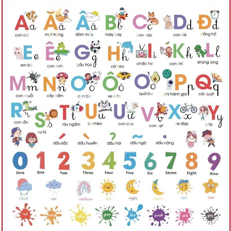  Decal dán tường bảng chữ cái tiếng việt cho bé 