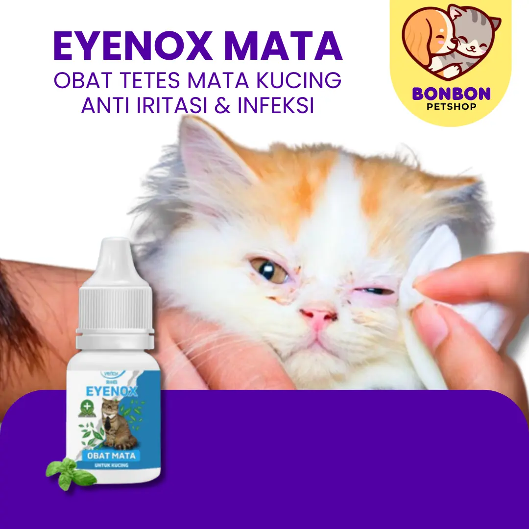 Eyenox Obat Sakit Mata Kucing Obat Infeksi Iritasi Mata Pet Eyenov Venox Obat Tetes Mata Cat