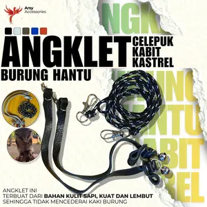Angklet celepuk/tali burung celepuk /burung hantu celepuk dan Alap Alap Kabit/Kastrel