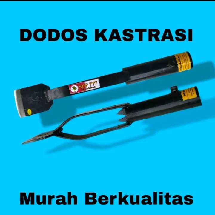 dodos KASTRASI SPP777 sawit, PANEN SAWIT MODERN 0