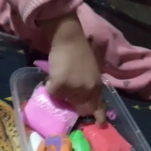 GaleryJak  Mainan Anak Clay Polymer Isi 12pcs Edukasi Slime Clay Dough Colour Play Squishy - Toys