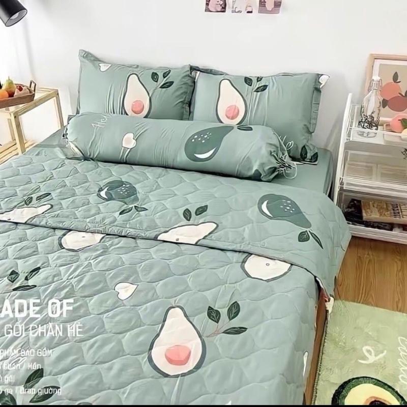 Bộ ga gối cotton poly set 5 món mẫu Bơ Nhạt đủ kích thước có bán lẻ chăn và ga gối