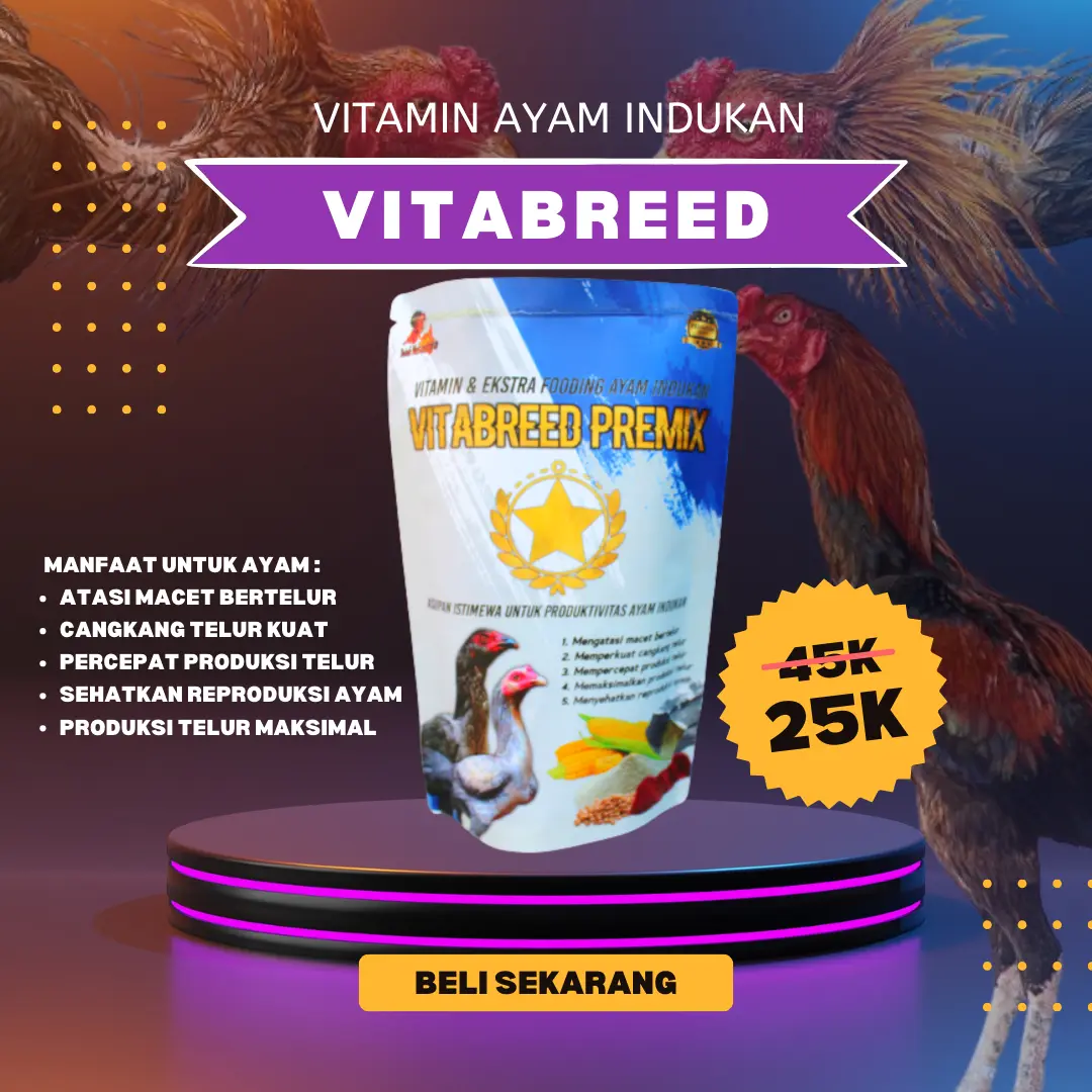 Obat indukan macet bertelur VITABREED PREMIX --> perangsang indukan agar lebih rajin bertelur