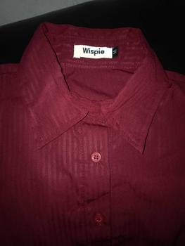 Product Review of Wispie Girl Boss Fitted Shirt | Kemeja kerja wanita fit garis stripe karet Lembut pink hijau biru from p**g 1
