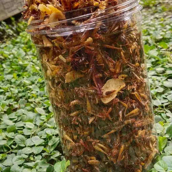 CEMILAN EXTRIM /WALANG/BELALANG GORENG TOPLES PANJANG 210 GRAM Rendah lemak 4