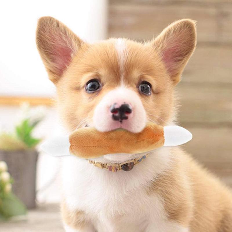 Đồ Chơi Nhồi Bông Cho Thú Cưng, Chó Mèo Chơi Nhai Chân Gà Cà Rốt Kêu Cót Két Âm Thanh Giọng Hát Tương Tác, Đồ Dùng Chơi Huấn Luyện 6