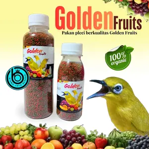 GOLDEN FRUITS PAKAN BURUNG PLECI