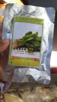 Product Review of 3 Benih Labu Air Panjang Balistik Super Bibit Sayuran Unggul Bintang Asia Tanaman Sayur Berkualitas from J** J** 1