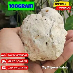 PULUT BURUNG SUPER LENGKET GETAH BENDO ASLI SIAP PAKAI PIKAT BURUNG JEBAK BURUNG