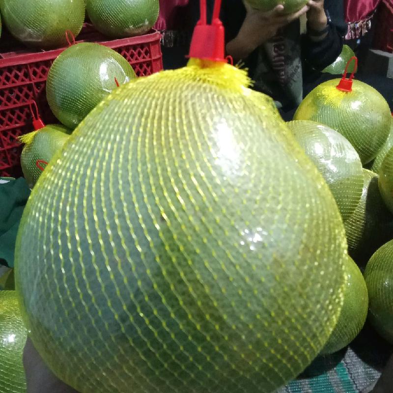 jeruk pamelo madu pati 8-9ons manis no asem,kecut, tanpa biji 3