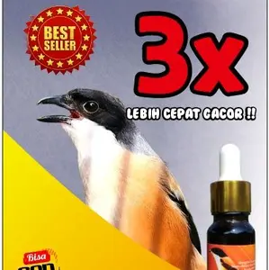 doping cendet hebar gacor seketika cendet booster . Di jamin burung jadi tambah gacor   .vitamin cendet/pentet gacor , penggacor seketika burung cendet