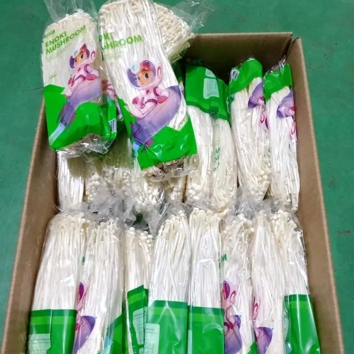 jamur enoki fresh 15.000 dpt 5 pak