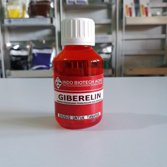 READY STOCK HORMON GIBERELINE