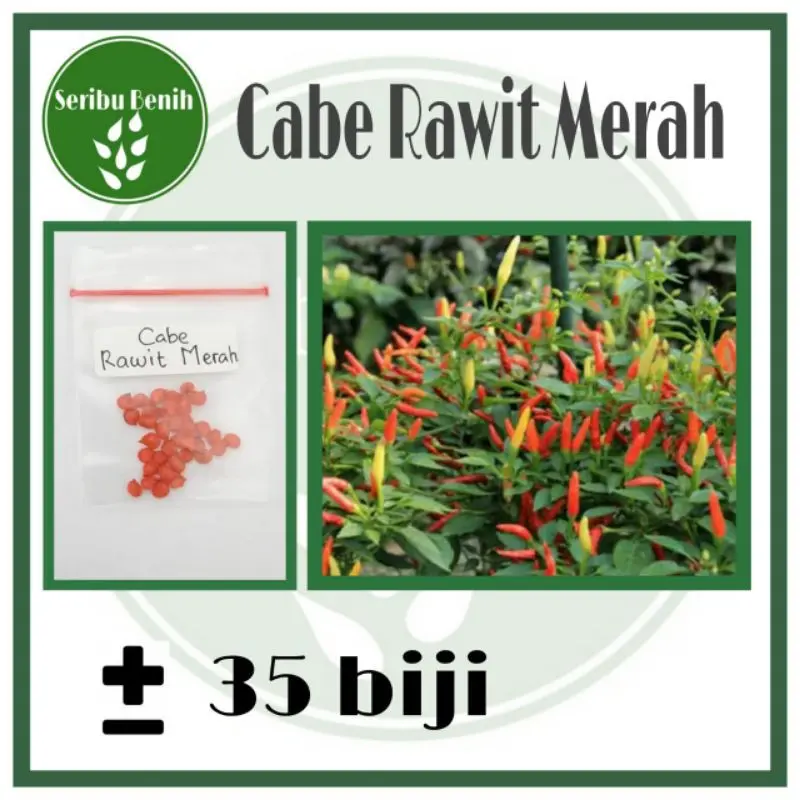 35 Benih Cabe Rawit Merah Unggul - Bibit Cabe Sigantung Repack [ SERIBU ]