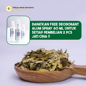 Teh Daun Sena Siap Seduh Daun Jati Cina