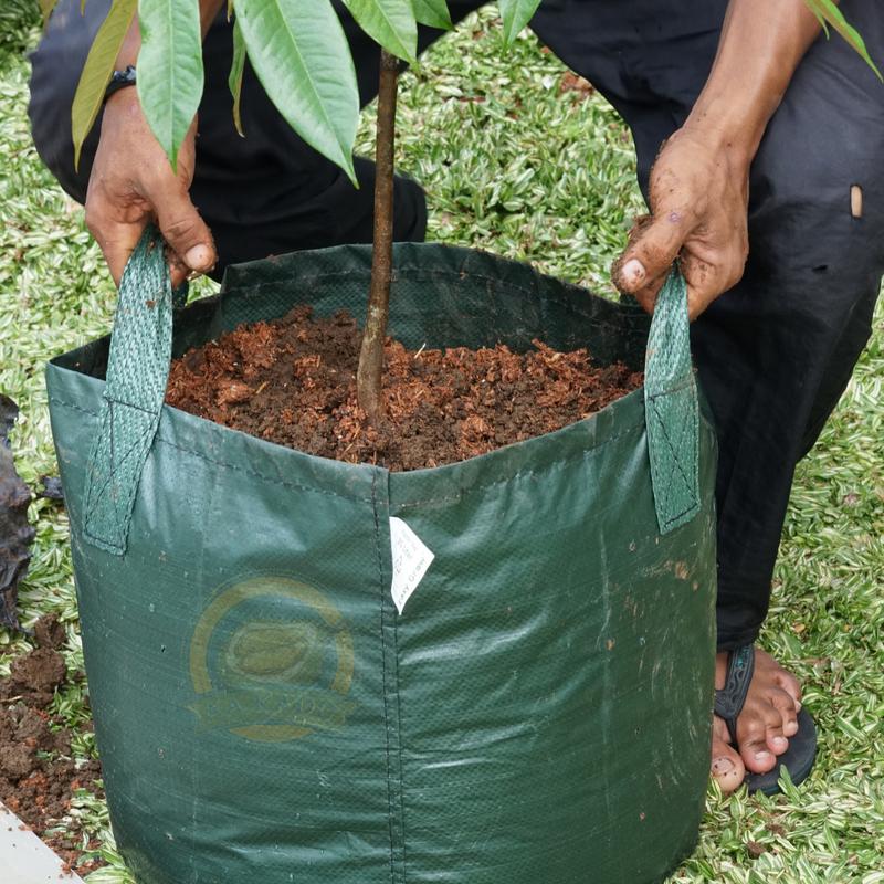 Product Introduction of Planter Bag Kualitas Premium 35 Liter (35x35) Daya Tahan 10 Tahun - Anti robek dan tahan dari segala cuaca panas , dingin dan hujan 8