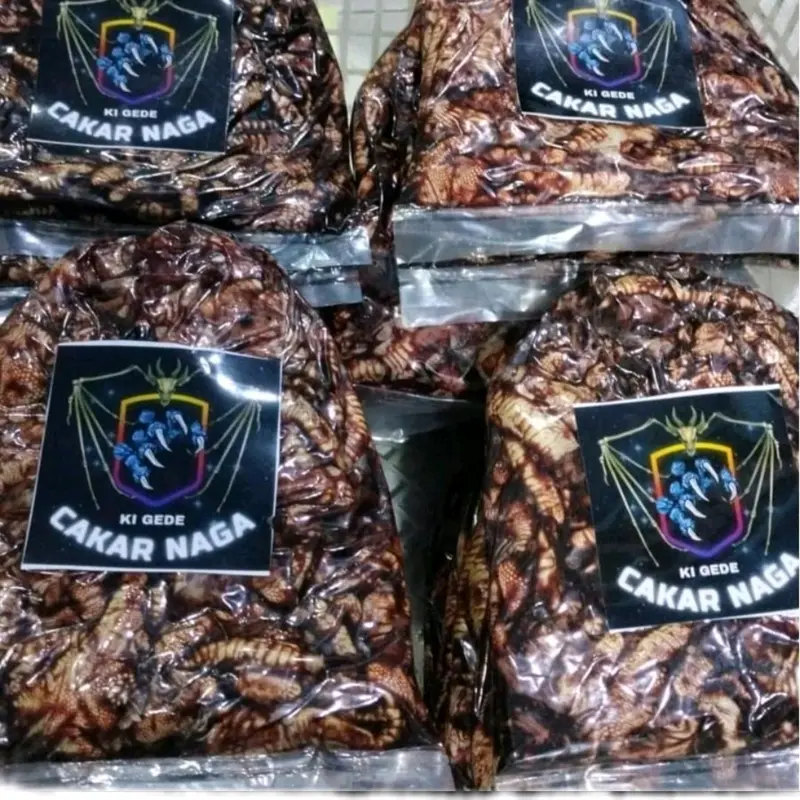 cokor naga Umpan Pancing Lele 0