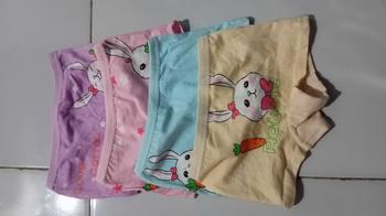 Product Review of Celana Dalam Anak Cewek Perempuan 4 in 1 ( 4 Pcs / Bgks) / Celana Dalam Anak Anak/Celana Dalam Segitiga Persegi Segi Empat Anak Anak / Kancut Anak / Kolor Anak / CD Anak Perempuan / Sempak Anak Perempuan / Kids Underwear/ Girl Underwear from N**i 0