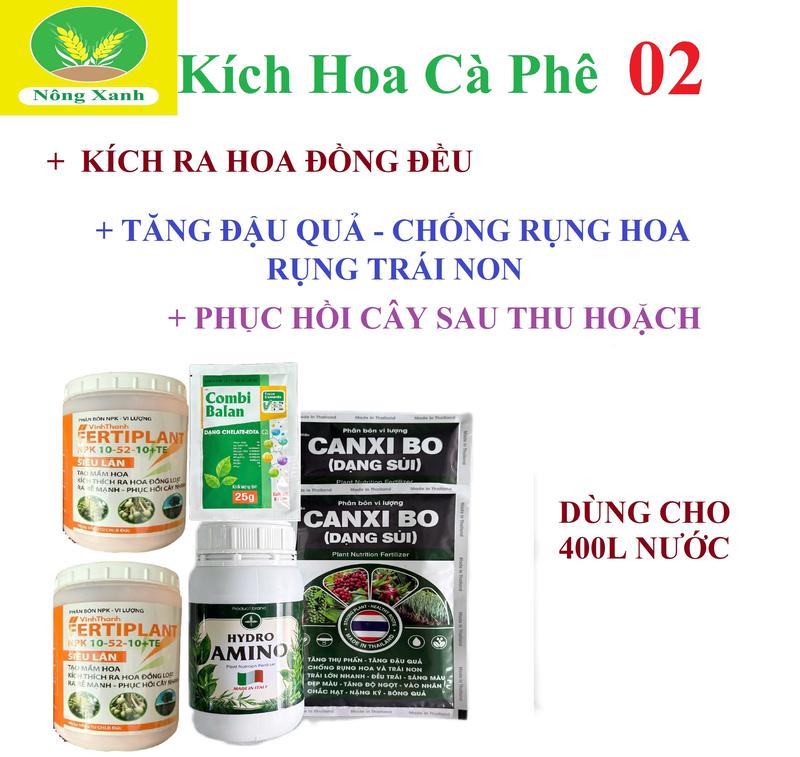Bộ Kích hoa cà phê 02 - kích ra hoa đồng loạt - Phân hoá mần hoa -Phục hồi sau thu hoạch - dưỡng cây - xanh lá 1 bộ pha 400 lít nước
