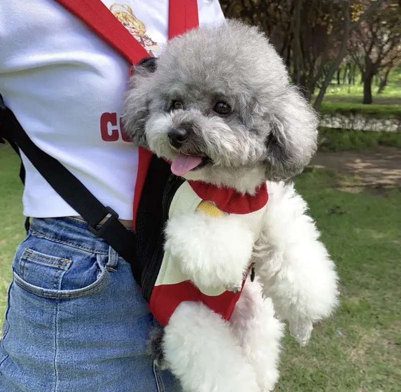 Ba lô du lịch thoáng khí, túi xách tay, ba lô bốn chân, ngực, túi chó, mèo 2