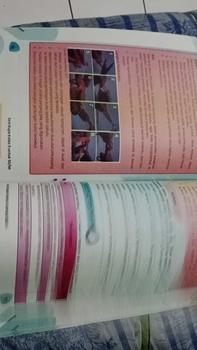 Product Review of Buku Seni Rupa Kelas 1 2 3 4 5 6 SD/MI Kurikulum Merdeka from A**8 1