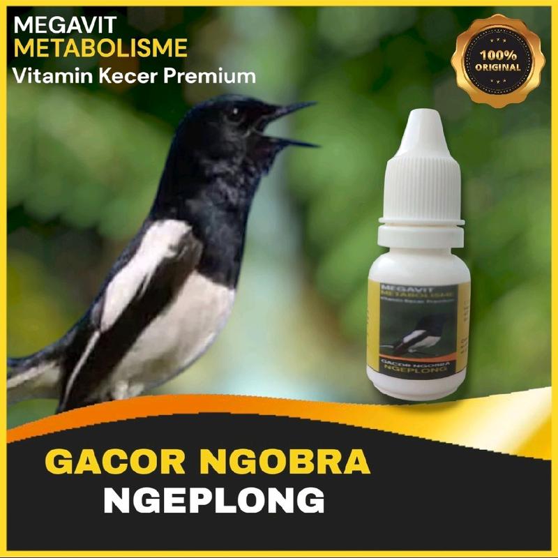 MEGAVIT - Vitamin dan Doping Burung Kecer Premium Lomba Biar Cepat Gacor 1
