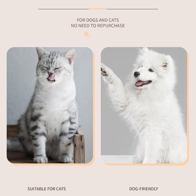 Electric Paw Shaver For Pet Dog Cat Foot Hair Trimmer Paw Nail Grooming Supplies Shaving Trimmer No Light Type 5