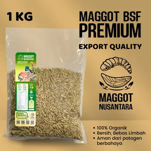 Maggot BSF PREMIUM 1 KG, Suplemen Hewan Berkualitas Ekspor, Bersih Bebas Limbah, Protein Tinggi, 100% Organik, Aman dari Patogen Berbahaya, MAGGOT NUSANTARA