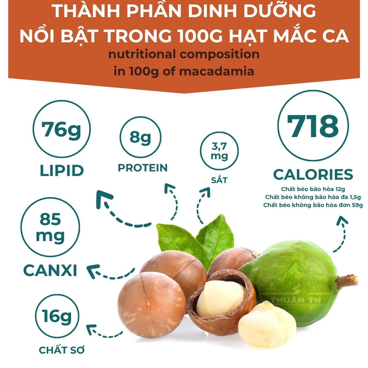 dinh dưỡng hạt macca