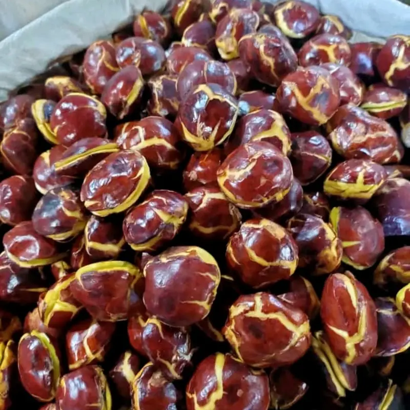 Timbangan isi jengkol 1kg segar dan fres Masakan Makanan Kering Kitchenware buah kering asam potong medan Snack Food 4