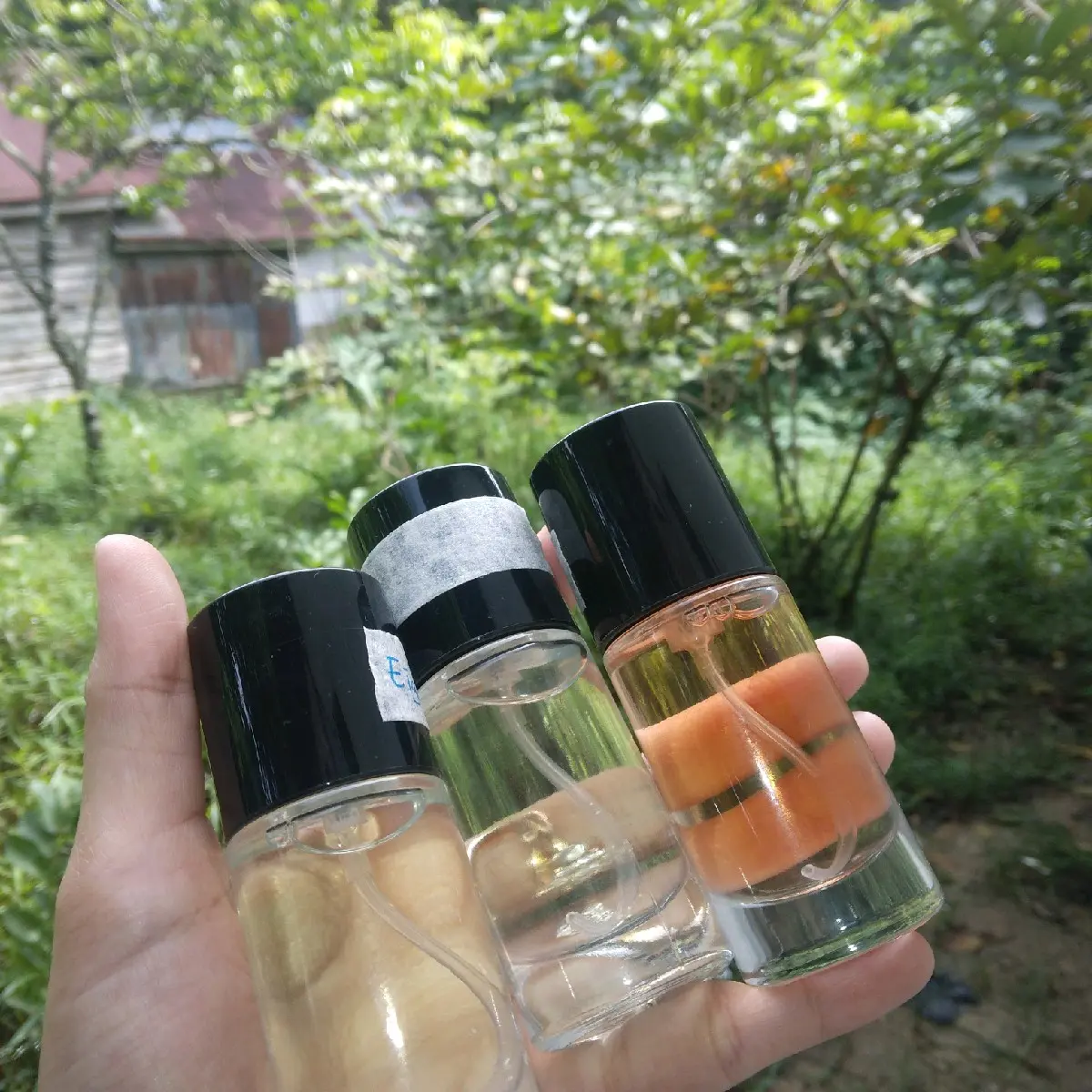 parfum isi ulang full bibit tahan 24 jam Perfume (dapat 3 botol)