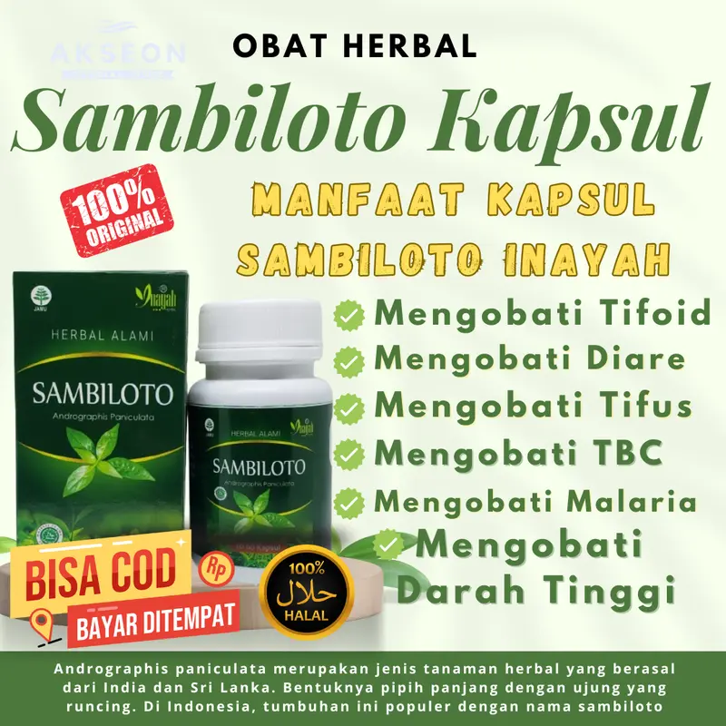 KAPSUL HERBAL ALAMI SAMBILOTO INAYAH KAPSUL 0