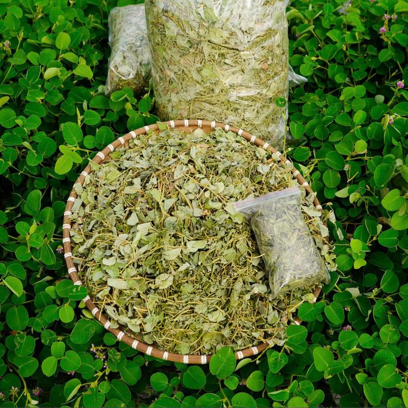 Trà Kim Tiền Thảo - Phơi Khô Tự Nhiên 1kg túi