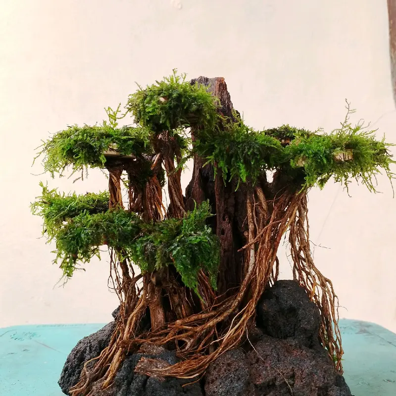 ornamen harscape aquascape hiasan aquarium 3