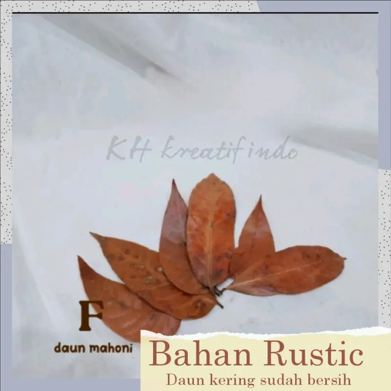 Bahan prakarya kerajinan dan kesenian / Rustic Daun kering bersih / seni keindahan / keterampilan / rustic kesenian yang indah / bahan dasar daun kering Hiasan 6