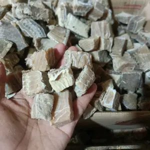 ikan asin pari daging Food