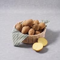 Gambar Kentang Dieng Siomay Konvensional 1 kg dari Sayurbox Kota Administrasi Jakarta Selatan 1 Tokopedia
