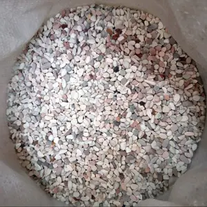 Batu sikat PANCAWARNA/batu taman/ koral sikat/ batu carport