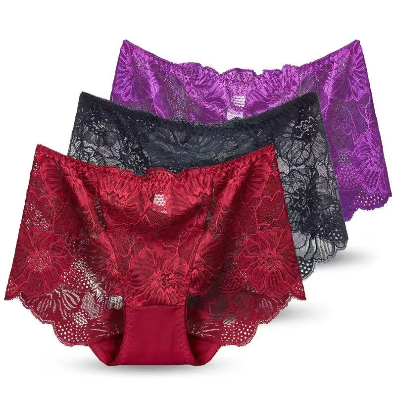 6 PCS Celana Dalam Bikini Wanita Gemuk Mid-Waist Briefs Sexy Mesh Motif Renda 01 CD