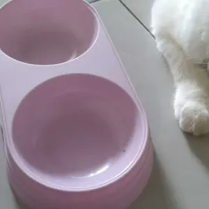 Mangkuk Double Kucing Anjing Anti Semut Mangkok Makan Kucing Aksesoris Hewan