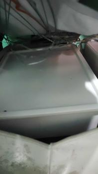Product Review of Underwear Storage Box Kotak Penyimpanan Pakaian Dalam Kaos Kaki Dengan Tutup Tempat Penyimpanan Pakain Dalam Serbaguna Merah from d**e 0