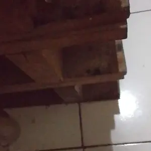 TIGER Pisau Dapur Set 3 Pcs Baja Asli Super Tajam Ukuran Sedang Tahan Lama Cocok untuk Kebutuhan Dapur Anda Paket Hemat 3pcs Pisau Dapur Baja Tanggung