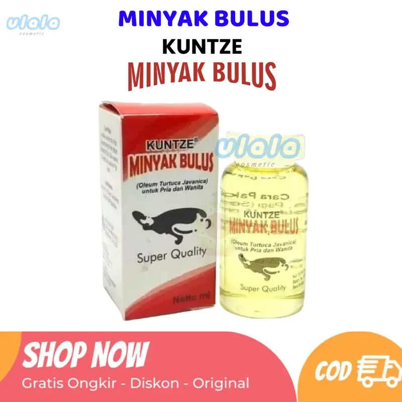 KUNTZE MINYAK BULUS ORIGINAL BPOM | Minyak bulus - original Bpom (BARU) 0