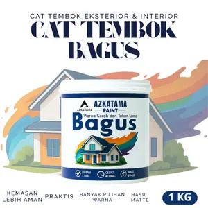 PRO PAINTINC Cat tembok matte anti luntur anti mengapur tahan lama kemasan aman galon 1KG
