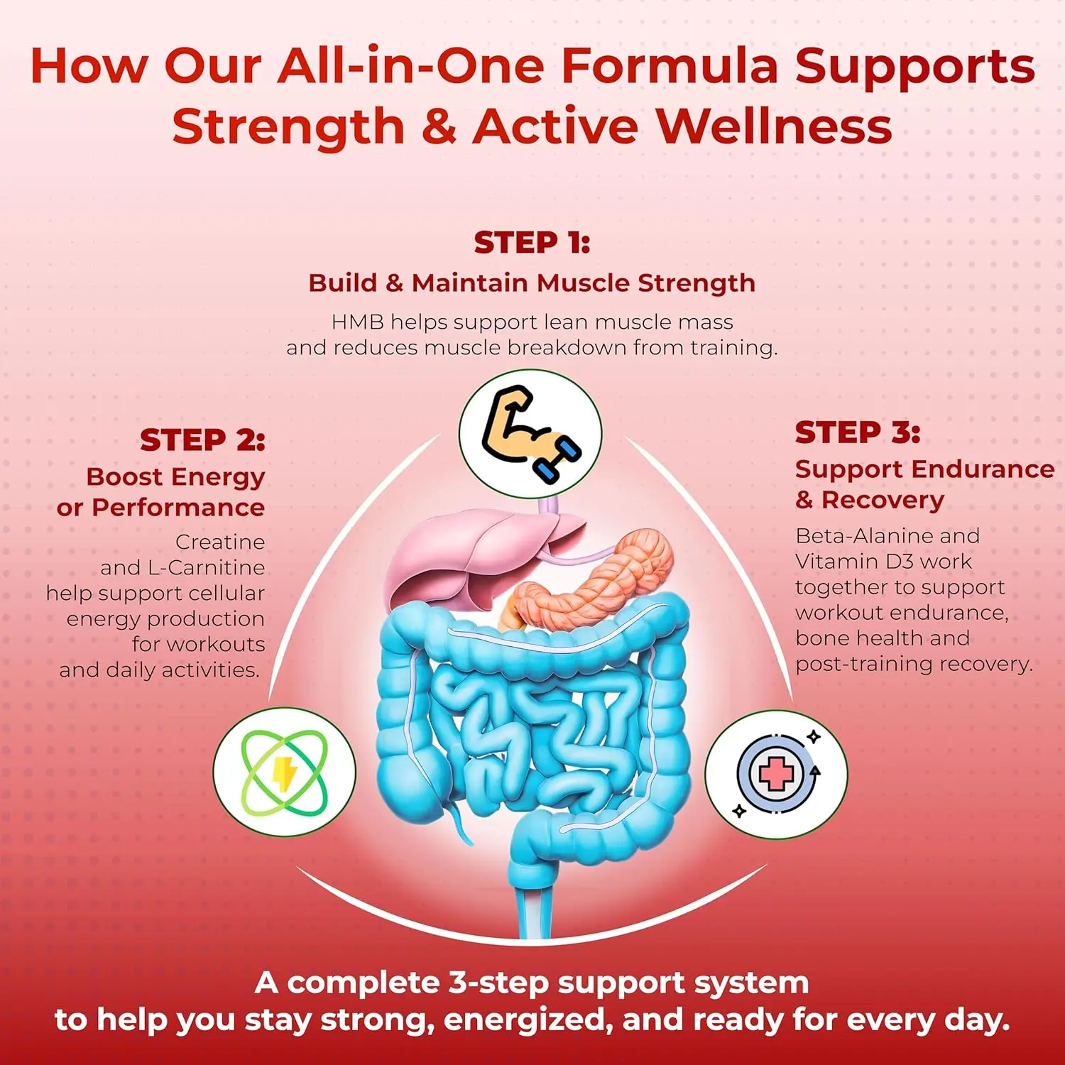 HMB with Vitamin D3, Creatine, L-Carnitine & Beta-Alanine – All-in-One  Daily Support for Strength & Active Wellness – Made in USA
