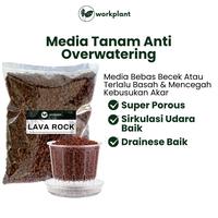 Gambar Workplant - Red Lava Rock Pasir Malang Merah Vulcanic Soil Media Tanam Porous Sudah Bersih Siap Pakai Bebas Busuk Akar - Besar dari workplant official Kota Surabaya 4 Tokopedia