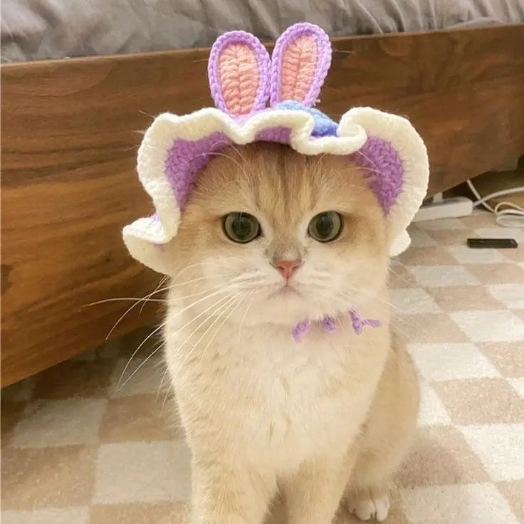topi rajut kucing karakter